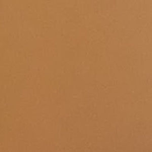 Meet your Posher, Mayra